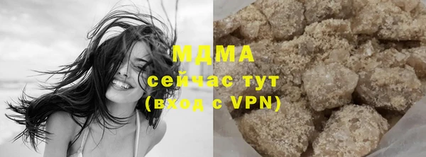 spice Гусев