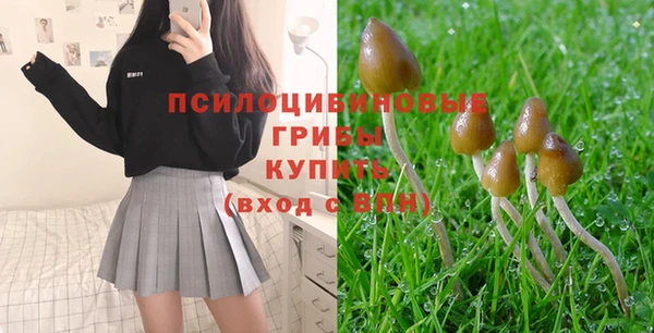 apvp Гусиноозёрск