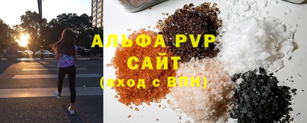 apvp Гусиноозёрск