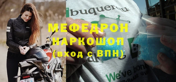 амф Гусь-Хрустальный
