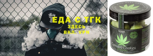 амф Гусь-Хрустальный