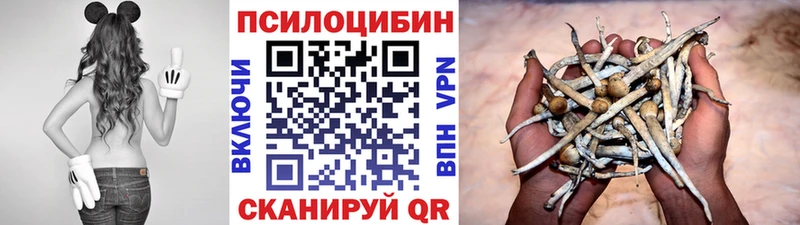 Галлюциногенные грибы ЛСД  цена   Заполярный 
